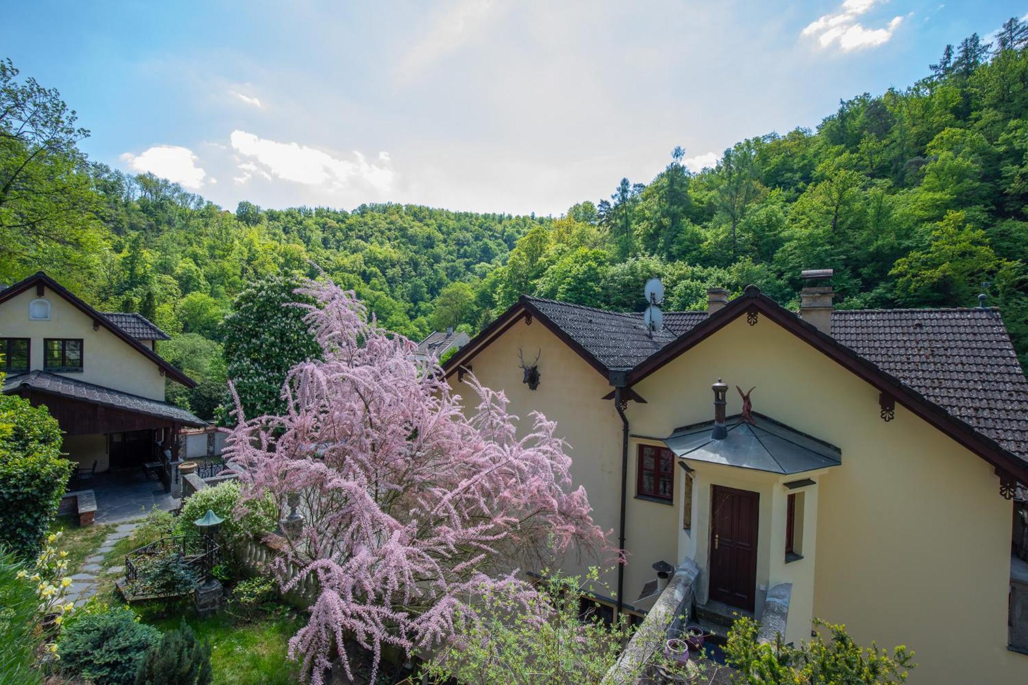 Resort U Jelena Krivoklát Exterior foto